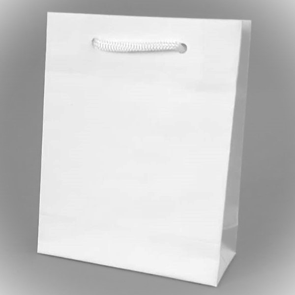 Bolsa blanca 12x5x15 cms.