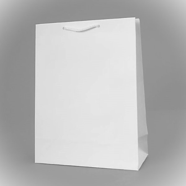 Bolsa blanca 23x10x30 cms.